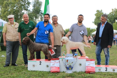 imola16-18