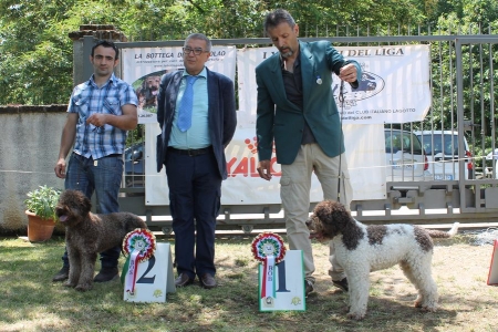 montemaranorad16-14