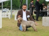 firenze16-21