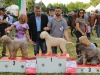 imola16-11