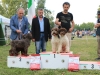 imola16-20