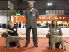 milano16-05