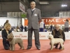milano16-09
