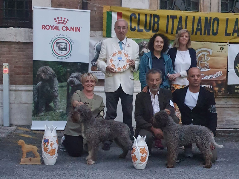 avezzano22Rad14
