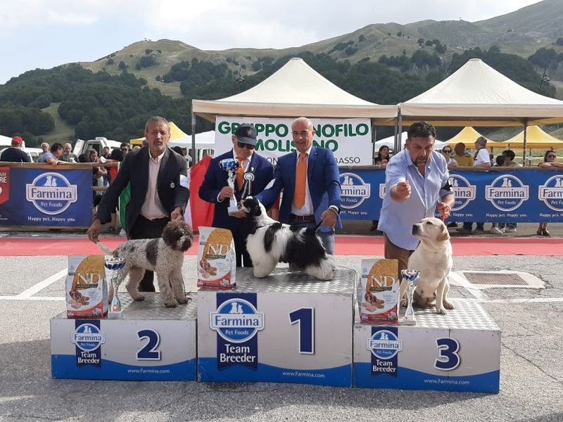 campobasso22