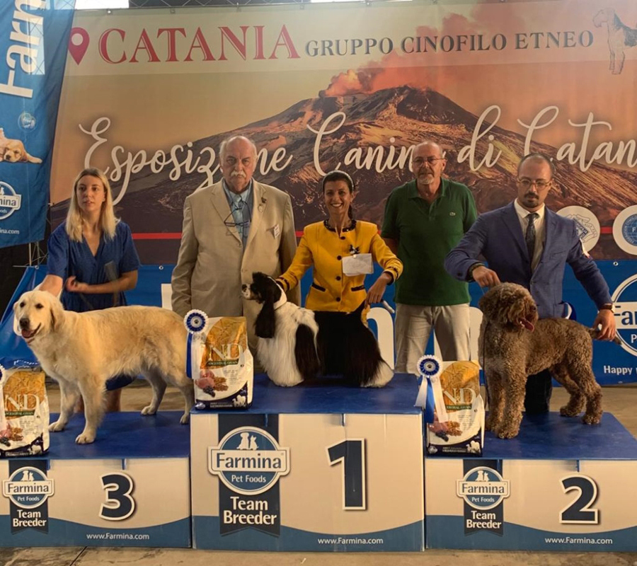 catania22