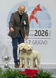 milano22-02