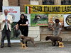 avezzano22Rad03