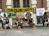 avezzano22Rad04