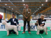 cremona14