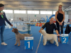 montichiari22-06