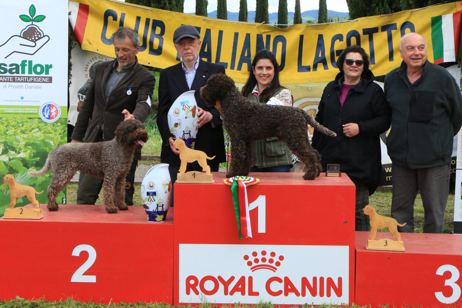 arezzo23-29