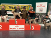 altavilla23-10
