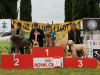 arezzo23-09