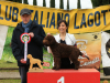arezzo23-13