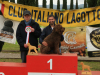 arezzo23-14