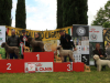 arezzo23-16