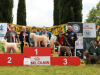 arezzo23-18