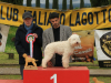 arezzo23-19