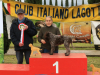arezzo23-21