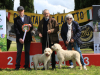 arezzo23-22