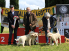 arezzo23-23
