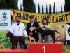 arezzo23-26