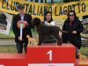arezzo23-28