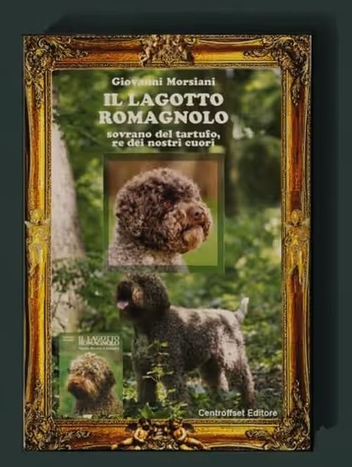 libro-nuovo