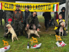 castiglioneMM25-04