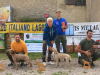 sanzeno25-02