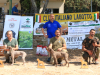 terni25-03
