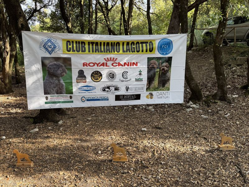 terni26-01